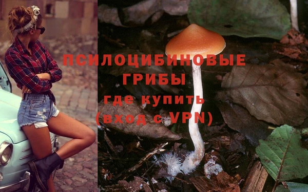спиды Алзамай