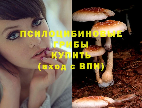 прущие грибы Алексеевка