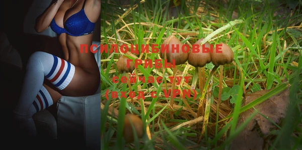 спиды Алзамай