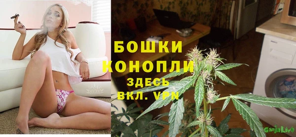мет Алексин