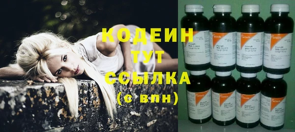 прущие грибы Алексеевка