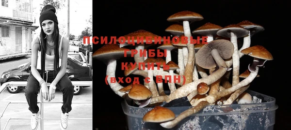 прущие грибы Алексеевка