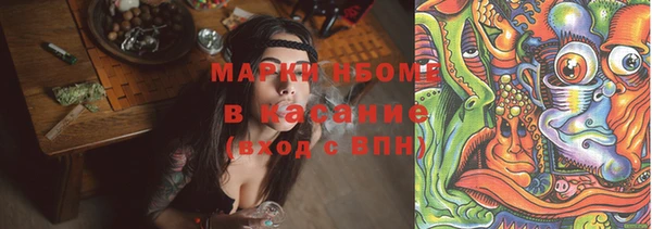 прущие грибы Алексеевка