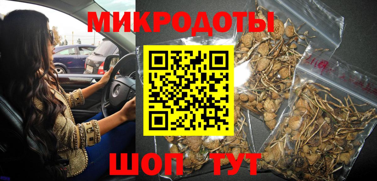 Псилоцибиновые грибы Psilocybe  Вход с VPN  Рыбинск 