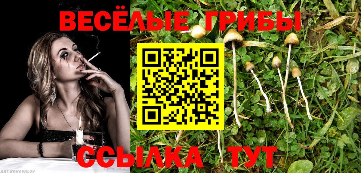 Псилоцибиновые грибы прущие грибы Рыбинск
